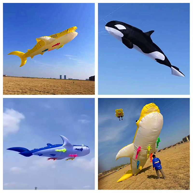 Kite Wind Outdoor - 10m killer whale multi-color fabric splicing