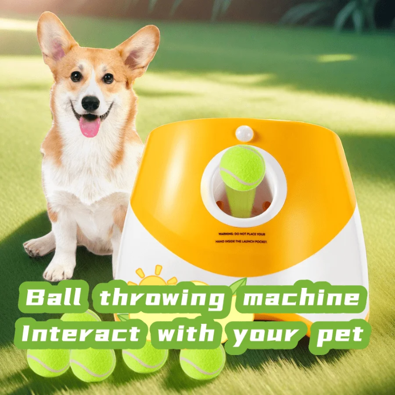 Dog Launcher Automatic Dogs Ch – обзор и цена Catapult Launcher Toy