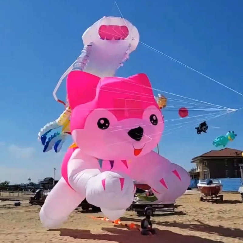 Giant kites flying inflatable  – обзор и цена Kite Wind Outdoor
