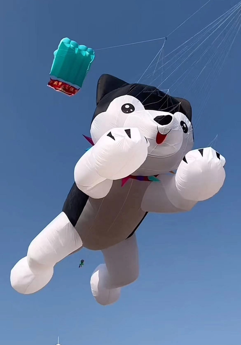 Giant kites flying inflatable  – обзор и цена Kite Wind Outdoor