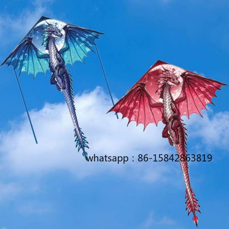 New pterosaur kites flying pro – обзор и цена Kite Wind Outdoor
