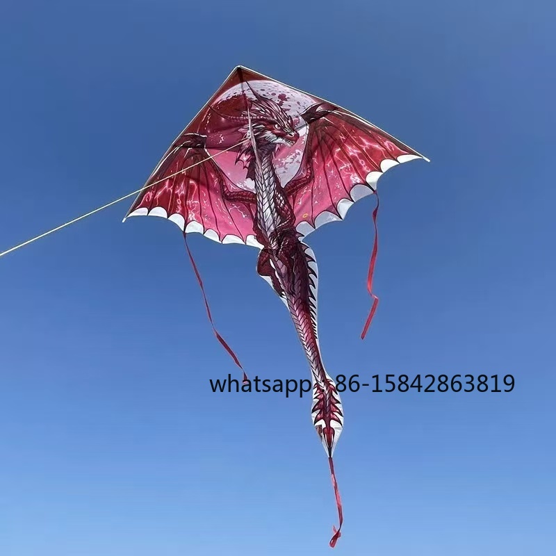 New pterosaur kites flying pro – обзор и цена Kite Wind Outdoor