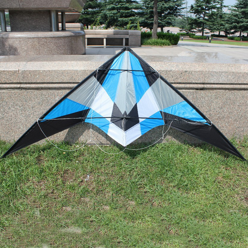 Professional outdoor Fun Sport – обзор и цена Kite Wind Outdoor