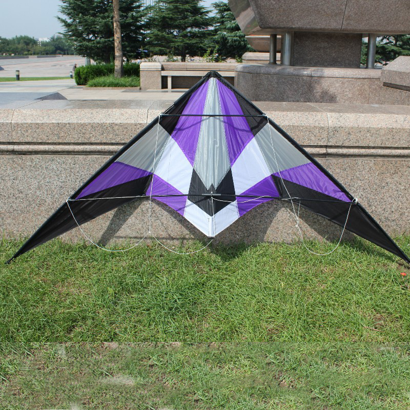 Professional outdoor Fun Sport – обзор и цена Kite Wind Outdoor