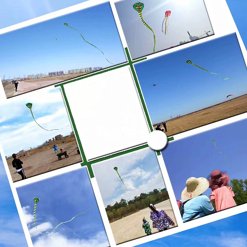 15m Large snake kites for chil – обзор и цена Kite Wind Outdoor