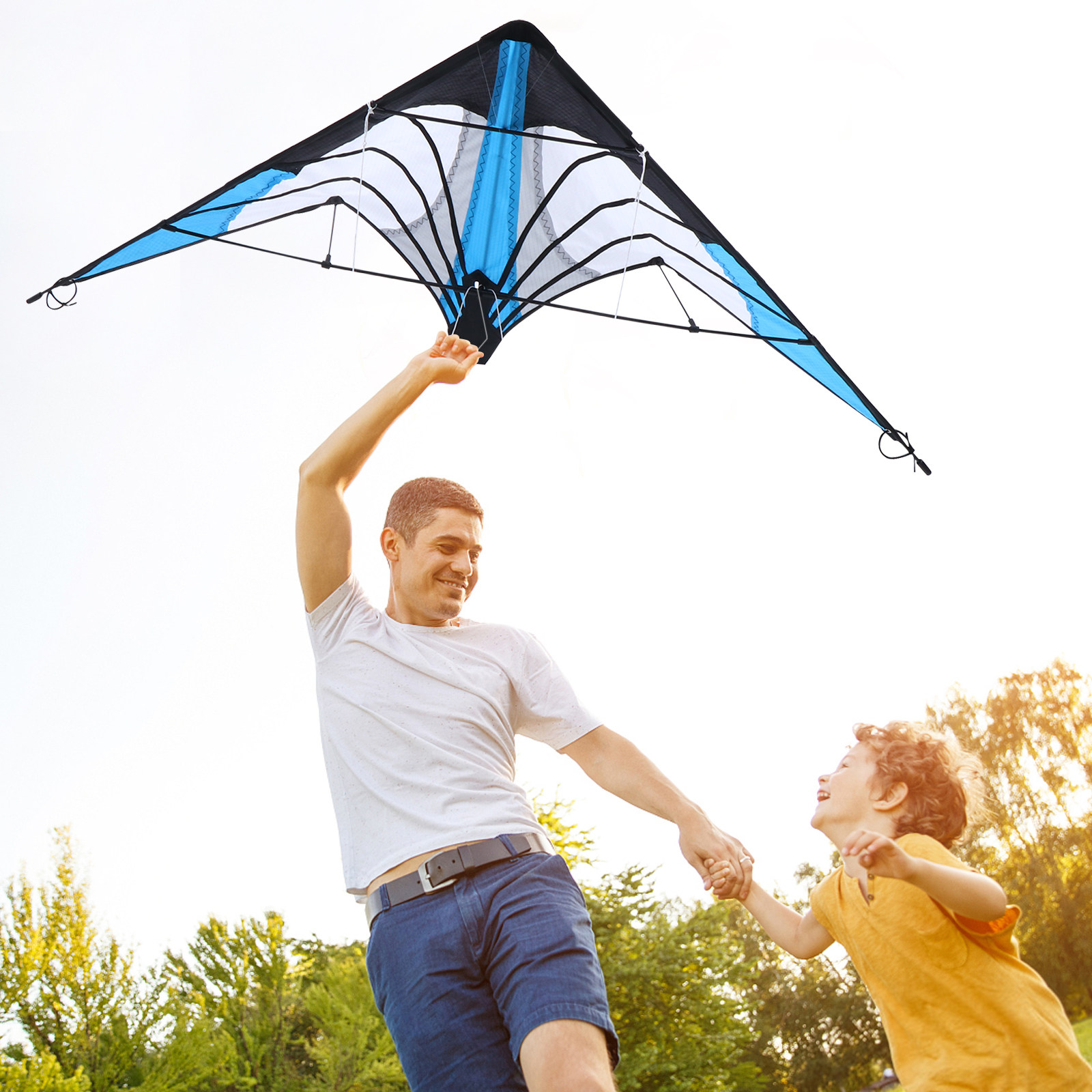 Double-Line Triangle Kite Colo – обзор и цена Kite Wind Outdoor