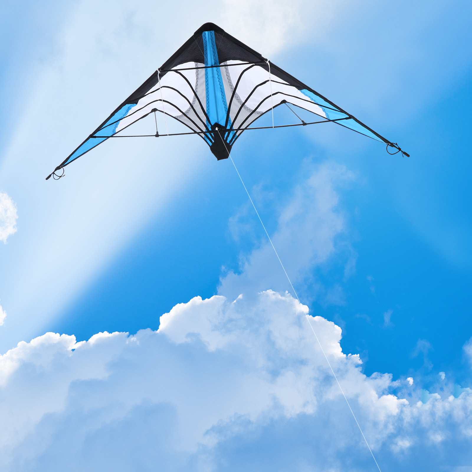 Double-Line Triangle Kite Colo – обзор и цена Kite Wind Outdoor