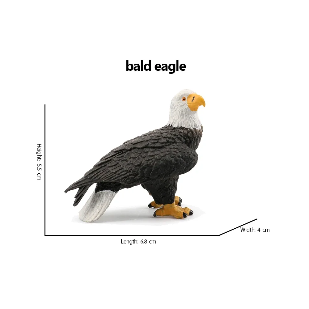 Bald Eagle pelican Tucan Turke – обзор и цена Kids Toys Under 200