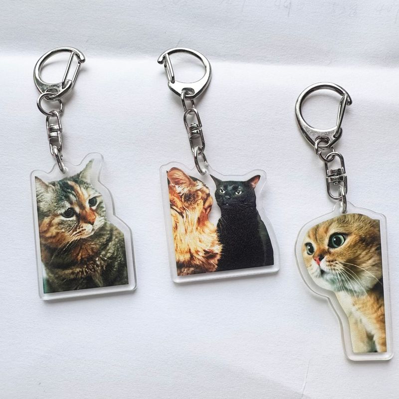 Cute Funny meme Cat Memes Seri – обзор и цена Kids Toys Low Price