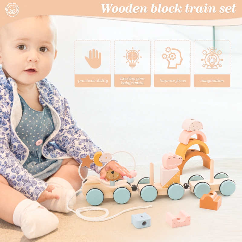 Wooden Montessori Toys Animal  – обзор и цена Kids Toys 2 Year Old
