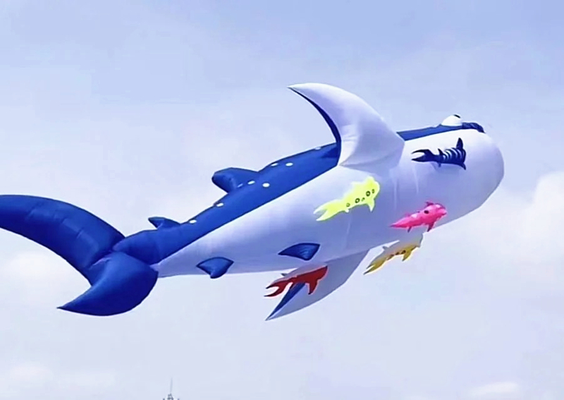 10m killer whale multi-color f – обзор и цена Kite Wind Outdoor