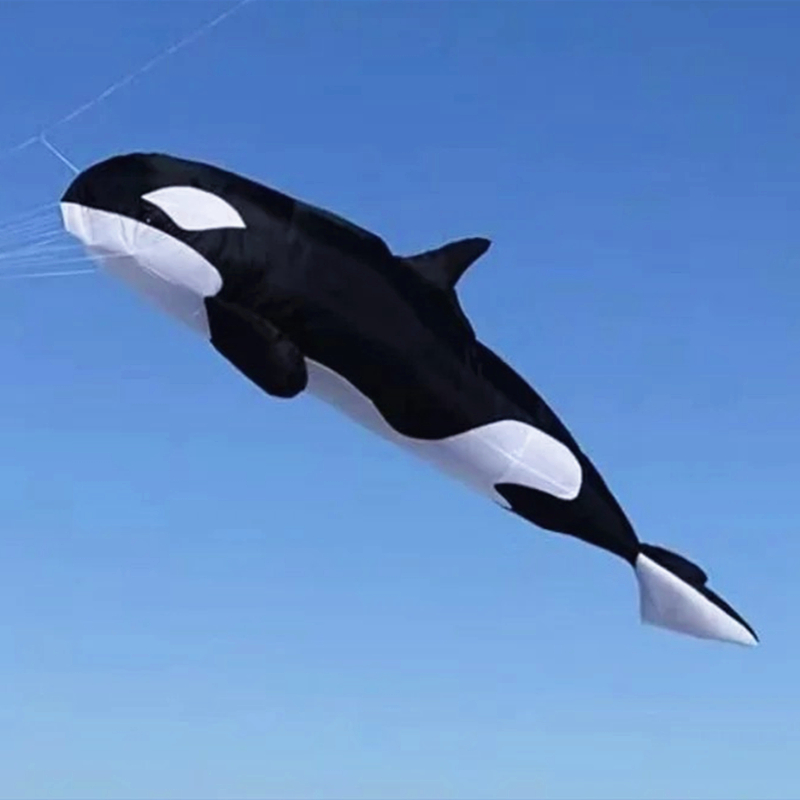 10m killer whale multi-color f – обзор и цена Kite Wind Outdoor