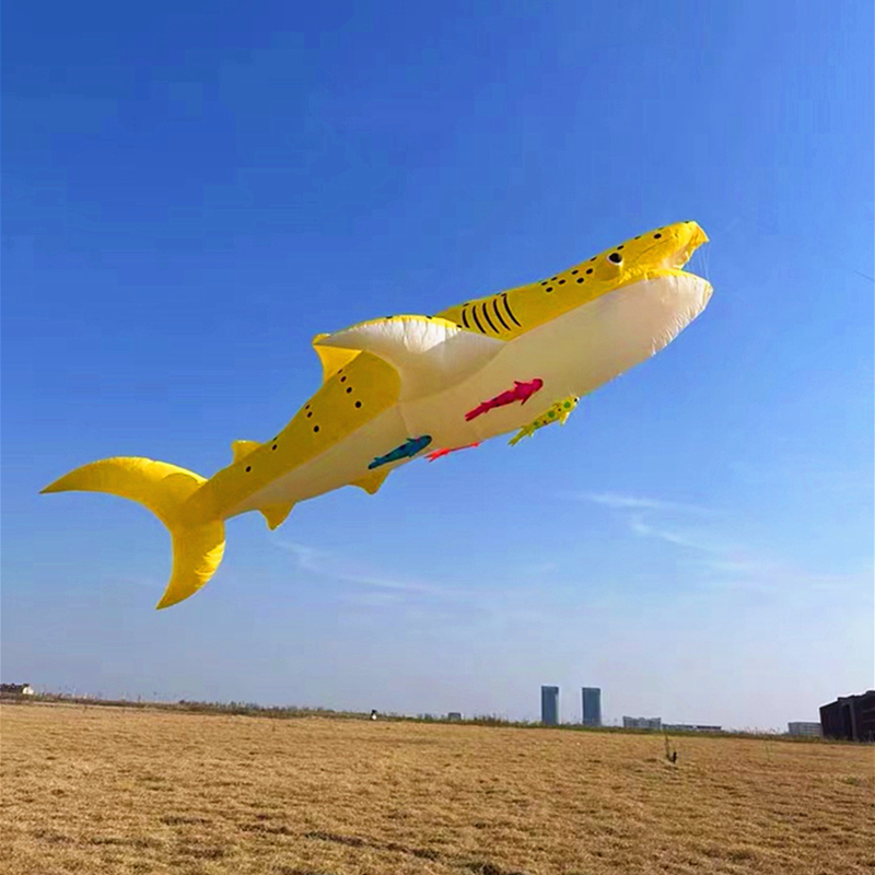 10m killer whale multi-color f – обзор и цена Kite Wind Outdoor