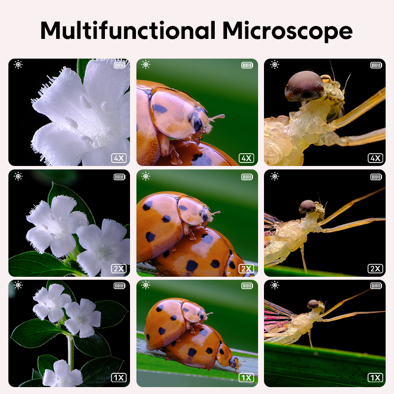 Mini Kids Optical Microscope W – обзор и цена Kids Toys Videos